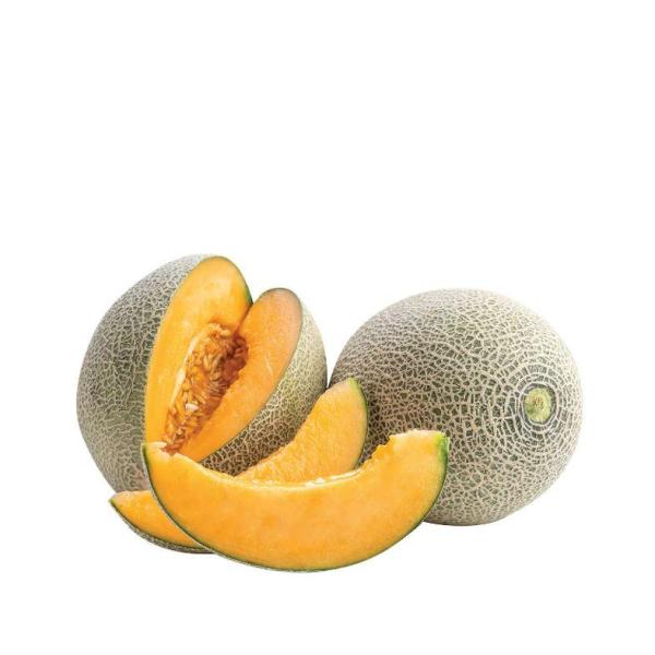 Rock Melon - Iran - 1.5 to 2 kg