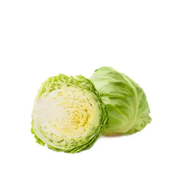 White Cabbage - Iran - 1.2 to 1.5 kg